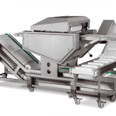 stainless steel skinning machine for small business by Lakidis